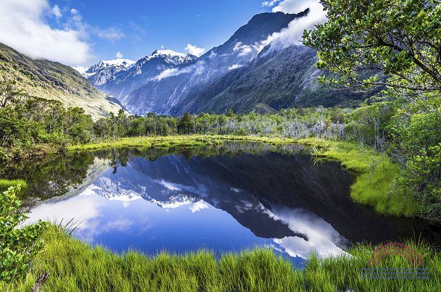 New Zealand Migration 